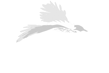 The Reserve at Oswego